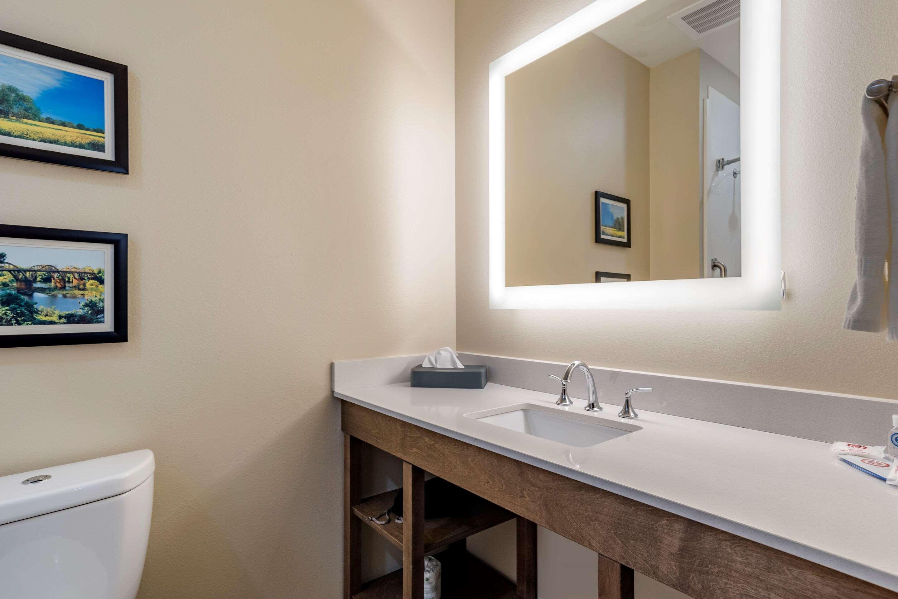 Comfort Inn & Suites Downtown Near University Tuscaloosa Bagian luar foto